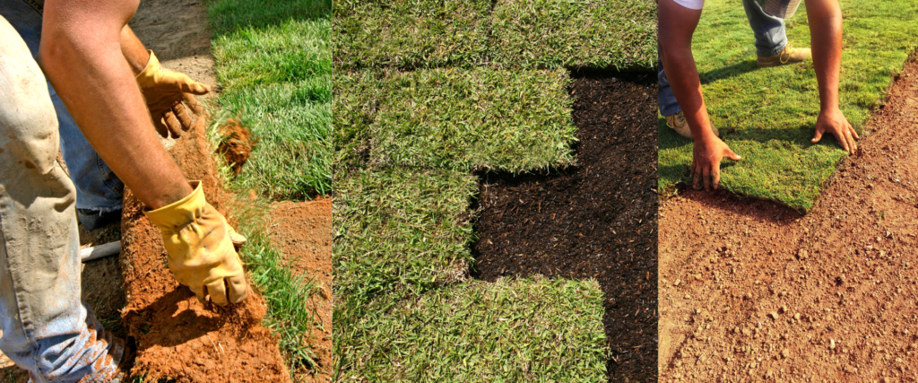 High-quality sod installation Richmond Hill - Fresh sod being laid in a residential backyard.