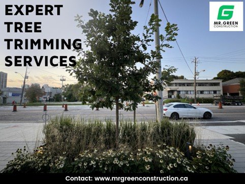 tree-trimming-services