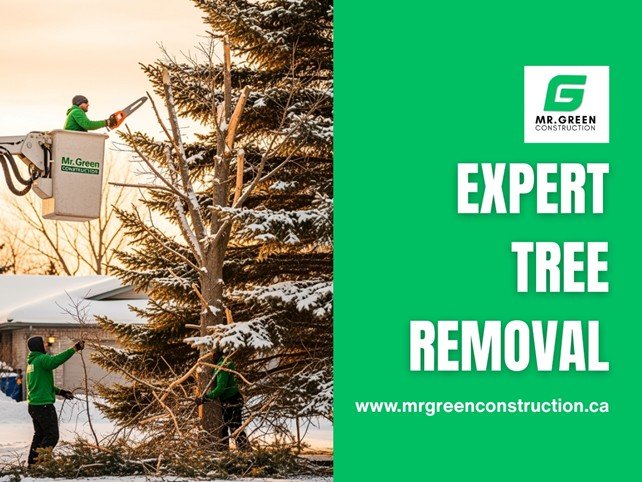 tree-removal